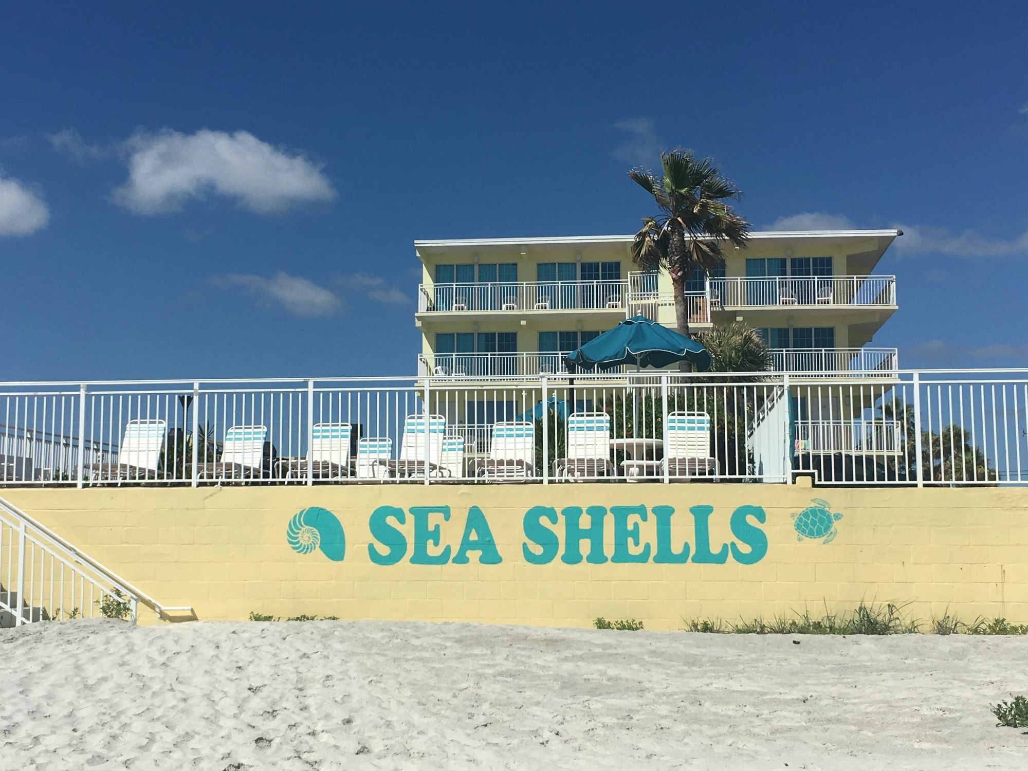 Sea Shells Beach Club Daytona Beach Extérieur photo